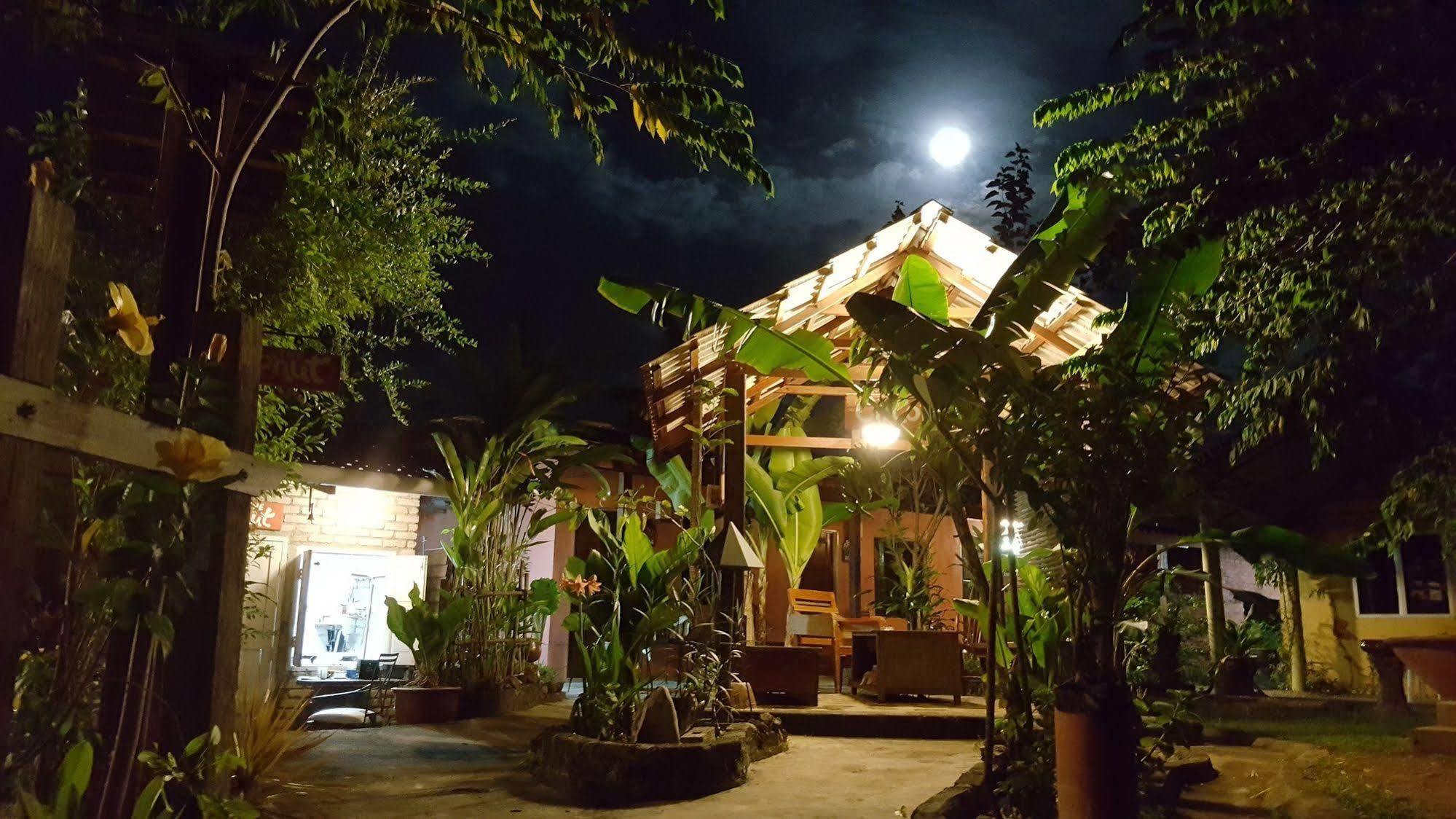 The Coconut Langkawi Hotel Pantai Cenang  Kültér fotó